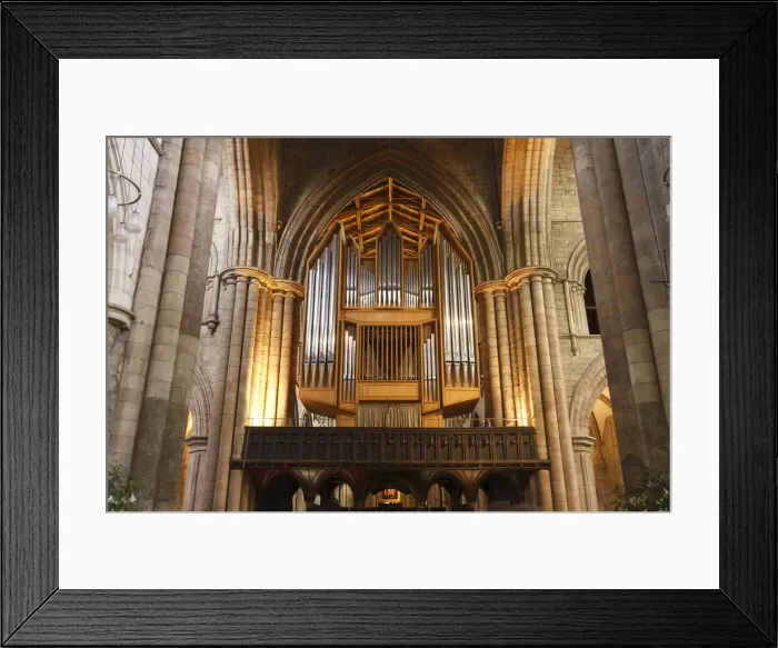 Framed Print : Organ, Hexham Abbey, Northumberland, 2010. Creator: Peter Thompson Framed Print : Organ, Hexham Abbey, Northumberland, 2010. Creator: Peter Thompson