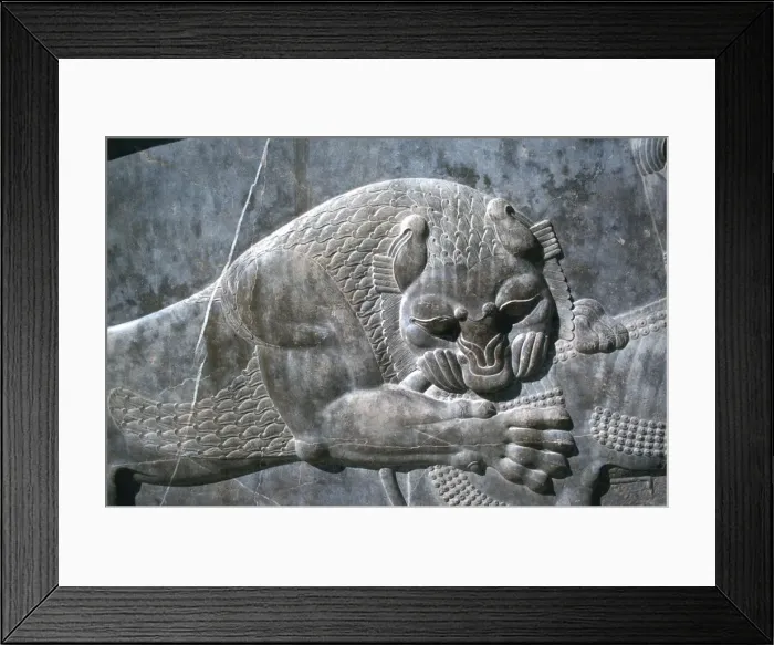 Framed Print : Detail from a relief of a lion attacking a bull, the Apadana, Persepolis, Iran Framed Print : Detail from a relief of a lion attacking a bull, the Apadana, Persepolis, Iran