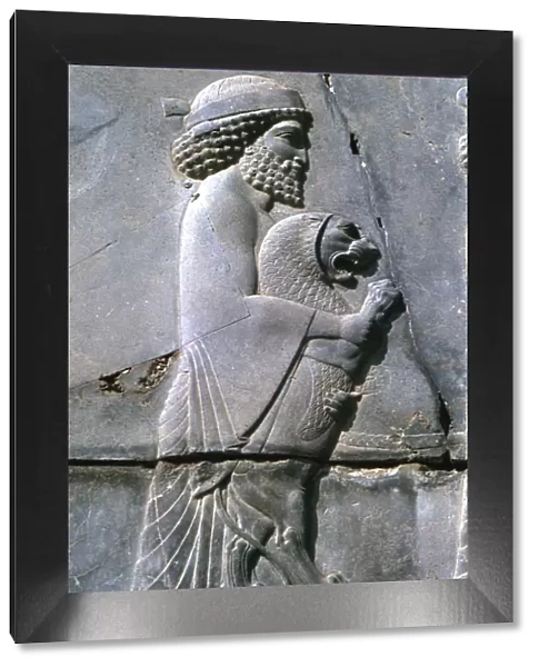 Relief of a man holding a lion cub, Persepolis, Iran