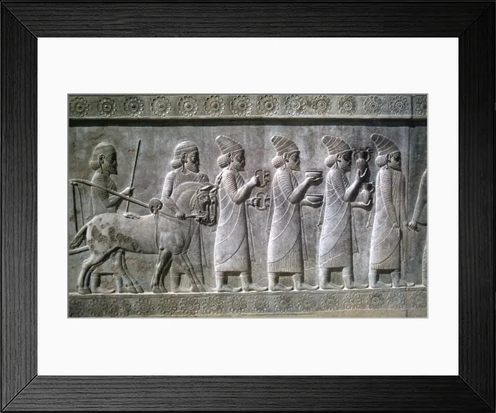 Framed Print : Relief of Syrians or Lydians, the Apadana, Persepolis, Iran Framed Print : Relief of Syrians or Lydians, the Apadana, Persepolis, Iran
