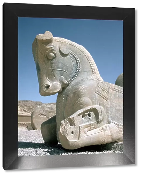 Protome of a horse, the Apadana, Persepolis, Iran