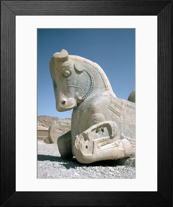 Framed Print : Protome of a horse, the Apadana, Persepolis, Iran Framed Print : Protome of a horse, the Apadana, Persepolis, Iran