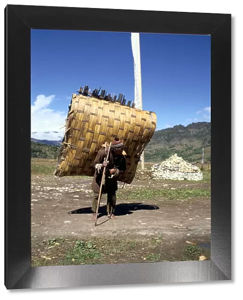 Man carrying a huge load, Bumthang, Bhutan