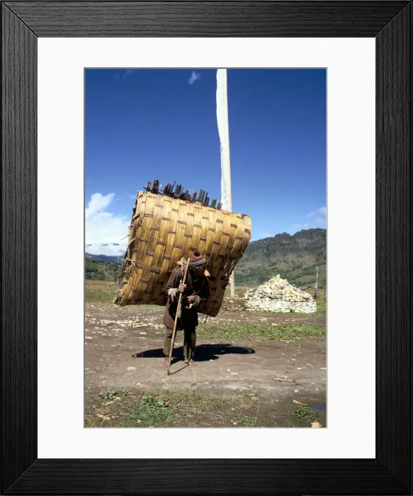 Framed Print : Man carrying a huge load, Bumthang, Bhutan Framed Print : Man carrying a huge load, Bumthang, Bhutan