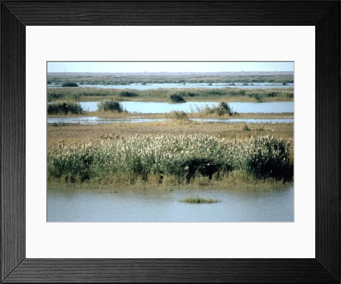 Framed Print : River Tigris from the doorway of the ruined Caliphs Palace, Samarra, Iraq, 1977 Framed Print : River Tigris from the doorway of the ruined Caliphs Palace, Samarra, Iraq, 1977