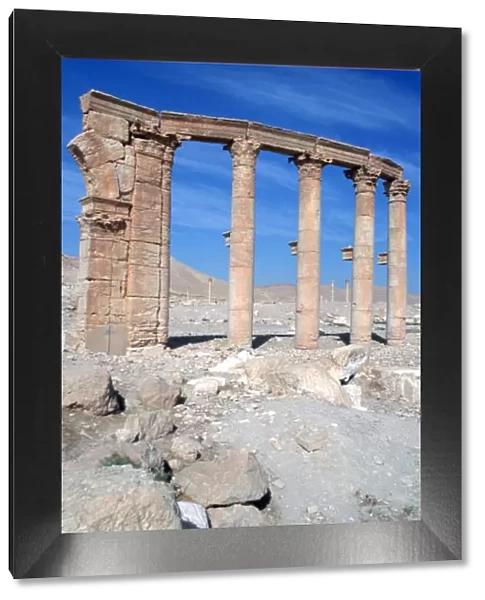 The Oval Piazza, Palmyra, Syria