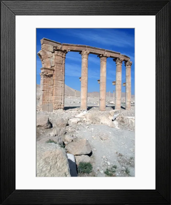 Framed Print : The Oval Piazza, Palmyra, Syria Framed Print : The Oval Piazza, Palmyra, Syria