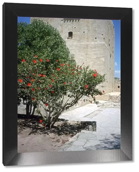 Castle of Kolossi, near Limassol, Cyprus, 2001