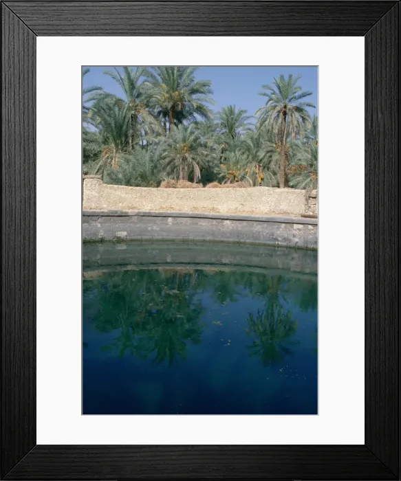 Framed Print : Cleopatras Pool, Siwa, Egypt Framed Print : Cleopatras Pool, Siwa, Egypt