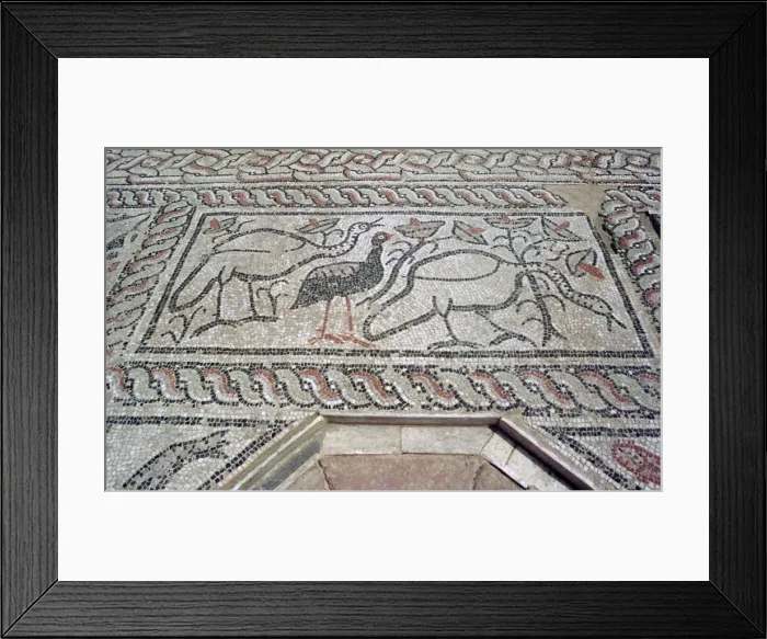Framed Print : Mosaic, ruins of the Roman town of Stobi, Gradsko, Macedonia Framed Print : Mosaic, ruins of the Roman town of Stobi, Gradsko, Macedonia
