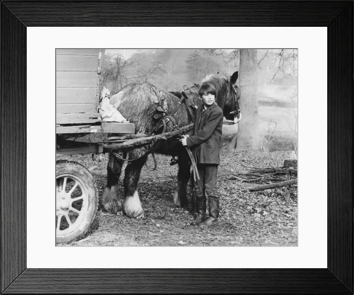 Framed Print : Young gypsy with a horse, 1960s Framed Print : Young gypsy with a horse, 1960s