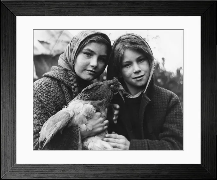 Framed Print : Janie and her brother, gipsy family, Charlwood, Surrey, 1964 Framed Print : Janie and her brother, gipsy family, Charlwood, Surrey, 1964