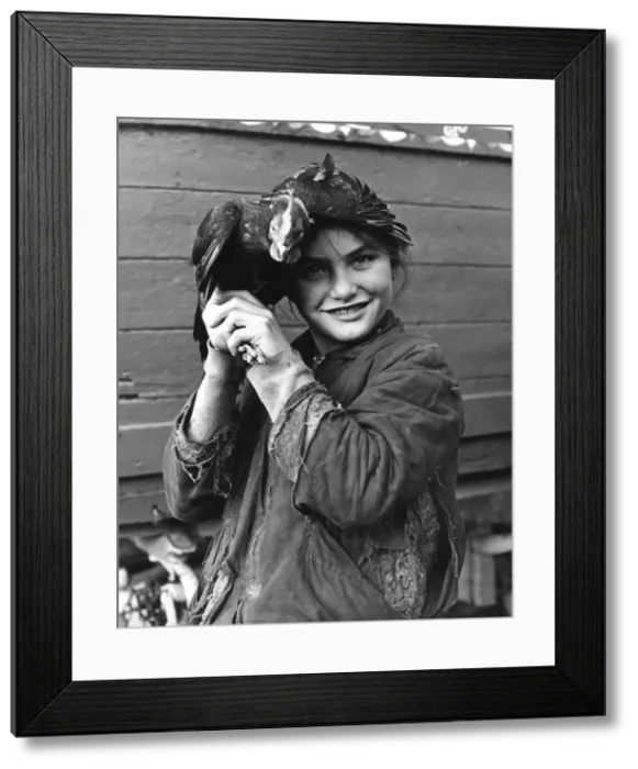 Framed Print : Gipsy girl holding a chicken, 1960s Framed Print : Gipsy girl holding a chicken, 1960s