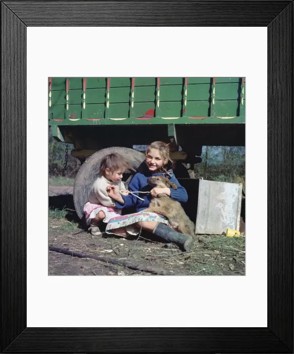 Framed Print : Two young gipsy girls playing with a dog, Charlwood, Newdigate area, Surrey, 1964 Framed Print : Two young gipsy girls playing with a dog, Charlwood, Newdigate area, Surrey, 1964