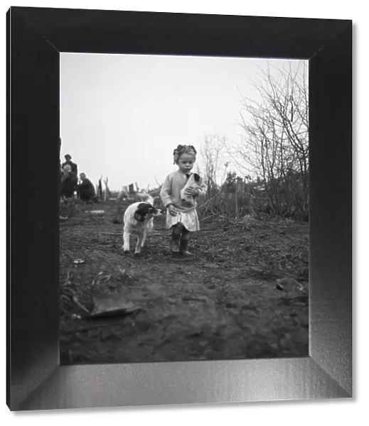Gipsy child with a puppy, Lewes, Sussex, 1963