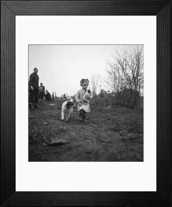 Framed Print : Gipsy child with a puppy, Lewes, Sussex, 1963 Framed Print : Gipsy child with a puppy, Lewes, Sussex, 1963