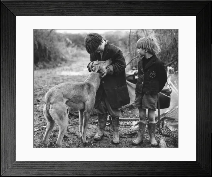 Framed Print : Gypsy boys with dog, Surrey, 1960s