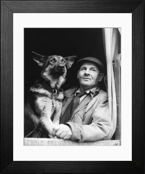 Framed Print : Gypsy man with dog, 1960s Framed Print : Gypsy man with dog, 1960s