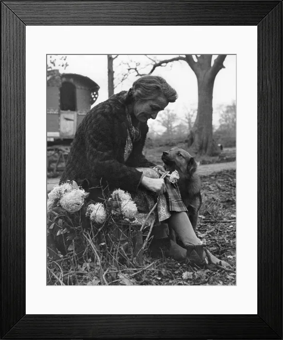 Framed Print : Gypsy woman with dog, 1960s Framed Print : Gypsy woman with dog, 1960s