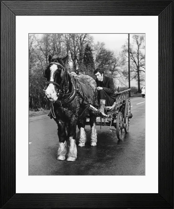 Framed Print : Gypsy man with horse and cart, 1960s Framed Print : Gypsy man with horse and cart, 1960s