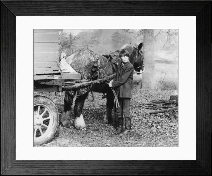 Framed Print : Young gypsy with a horse, 1960s Framed Print : Young gypsy with a horse, 1960s
