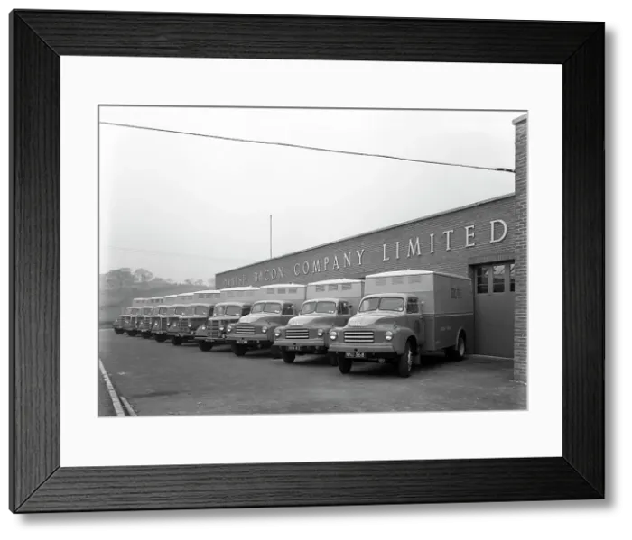 Framed Print : Bedford delivery lorries at the Danish Bacon Co, Kilnhurst, South Yorkshire, 1957