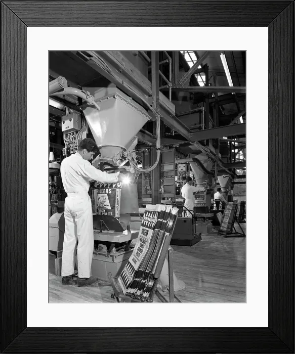 Framed Print : Bags being filled at the Spillers Animal Foods plant, Gainsborough, Lincolnshire, 1962 Framed Print : Bags being filled at the Spillers Animal Foods plant, Gainsborough, Lincolnshire, 1962