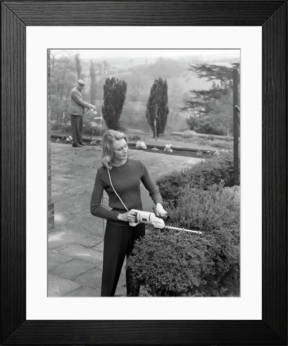 Framed Print : Woman using Stanley electric garden shears, 1965. Artist: Michael Walters Framed Print : Woman using Stanley electric garden shears, 1965. Artist: Michael Walters
