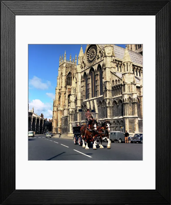 Framed Print : Tetley shire horses outside York Minster, North Yorkshire, 1969. Artist: Michael Walters Framed Print : Tetley shire horses outside York Minster, North Yorkshire, 1969. Artist: Michael Walters