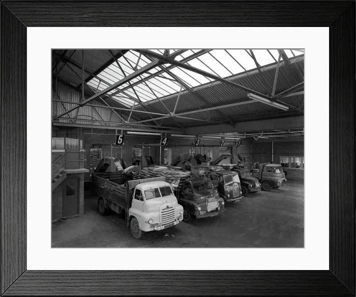Framed Print : Line up of 1950s lorries at Spillers Animal Foods, Gainsborough, Lincolnshire, 1961 Framed Print : Line up of 1950s lorries at Spillers Animal Foods, Gainsborough, Lincolnshire, 1961