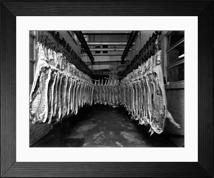 Framed Print : Interior of a butchery factory, Rawmarsh, South Yorkshire, 1955. Artist: Michael Walters Framed Print : Interior of a butchery factory, Rawmarsh, South Yorkshire, 1955. Artist: Michael Walters