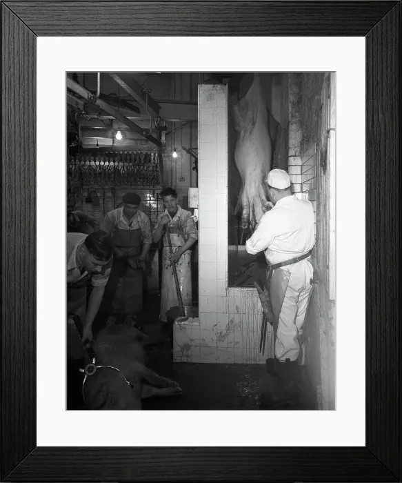Framed Print : Butchery factory, Rawmarsh, South Yorkshire, 1955. Artist: Michael Walters Framed Print : Butchery factory, Rawmarsh, South Yorkshire, 1955. Artist: Michael Walters