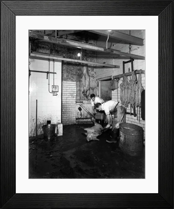 Framed Print : Butchery factory, Rawmarsh, South Yorkshire, 1955. Artist: Michael Walters Framed Print : Butchery factory, Rawmarsh, South Yorkshire, 1955. Artist: Michael Walters