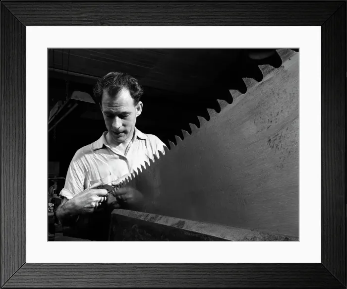 Framed Print : Setting the saw teeth a two metre saw blade, Sheffield, South Yorkshire, 1963. Artist Framed Print : Setting the saw teeth a two metre saw blade, Sheffield, South Yorkshire, 1963. Artist
