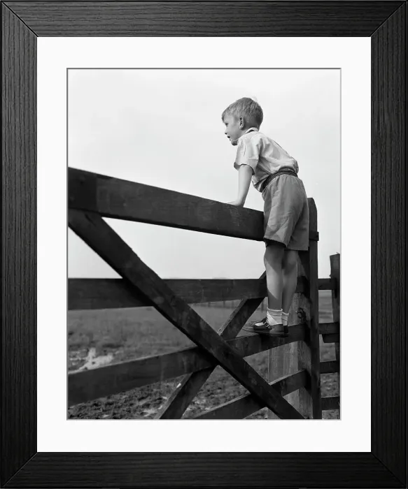 Framed Print : Child standing on a gate, 1963. Artist: Michael Walters Framed Print : Child standing on a gate, 1963. Artist: Michael Walters