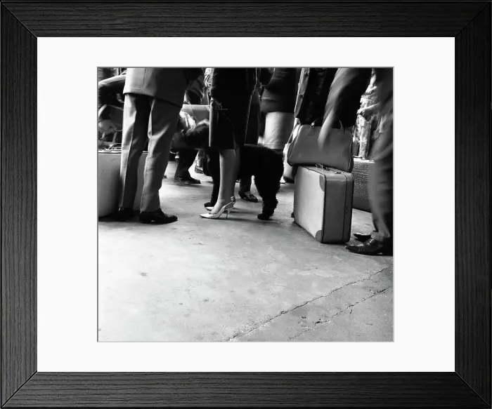 Framed Print : Dutch legs, Amsterdam, Netherlands, 1963. Artist: Michael Walters Framed Print : Dutch legs, Amsterdam, Netherlands, 1963. Artist: Michael Walters