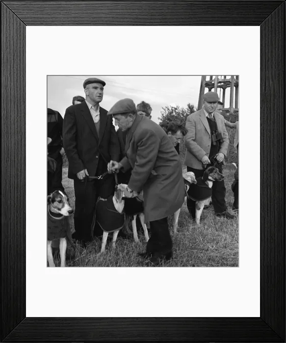 Framed Print : Hound Trailing, one of Cumbrias oldest and most popular sports, Keswick, 2nd July 1962 Framed Print : Hound Trailing, one of Cumbrias oldest and most popular sports, Keswick, 2nd July 1962