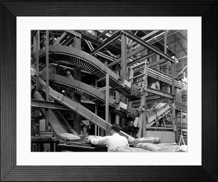 Framed Print : Complex conveyor delivery, Spillers Animal Foods, Gainsborough, Lincolnshire, 1962