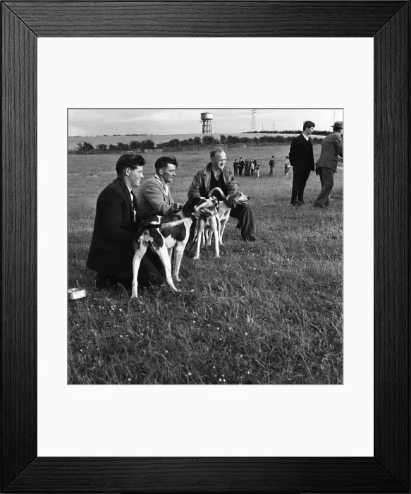 Framed Print : Hound Trailing, one of Cumbrias oldest and most popular sports, Keswick, 2nd July 1962 Framed Print : Hound Trailing, one of Cumbrias oldest and most popular sports, Keswick, 2nd July 1962