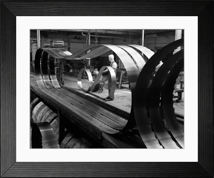 Framed Print : Giant bandsaw blades, Slack Sellers & Co, Sheffield, South Yorkshire, 1963. Artist Framed Print : Giant bandsaw blades, Slack Sellers & Co, Sheffield, South Yorkshire, 1963. Artist
