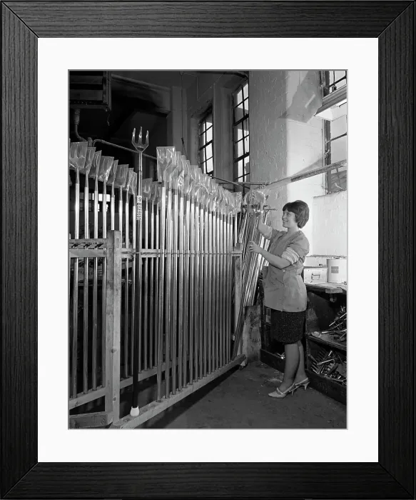 Framed Print : Packing garden forks for dispatch, Brades Tools, Sheffield, South Yorkshire, 1966 Framed Print : Packing garden forks for dispatch, Brades Tools, Sheffield, South Yorkshire, 1966