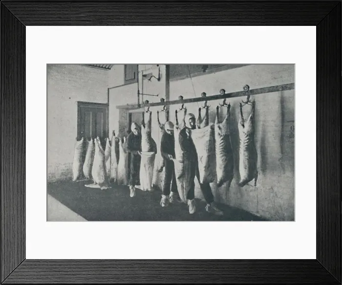 Framed Print : Frozen Meat, 1910 Framed Print : Frozen Meat, 1910