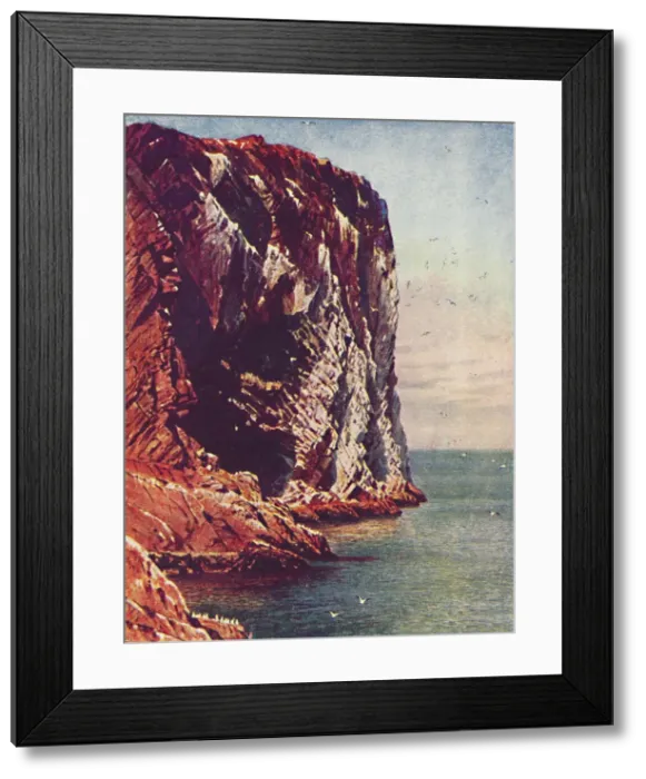 Framed Print : Bass Rock, 1910. Artist: Harold Sutton Palmer Framed Print : Bass Rock, 1910. Artist: Harold Sutton Palmer