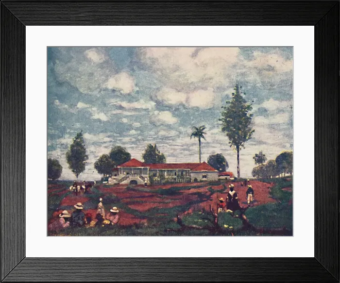Framed Print : A Coffee Fazenda, 1916. Artist: As Forrest Framed Print : A Coffee Fazenda, 1916. Artist: As Forrest