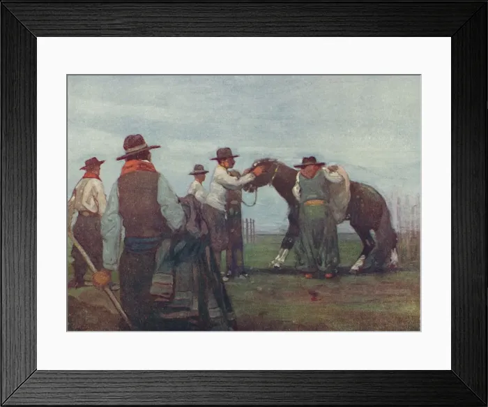 Framed Print : Gauchos Breaking in a Young Horse, 1916. Artist: As Forrest Framed Print : Gauchos Breaking in a Young Horse, 1916. Artist: As Forrest