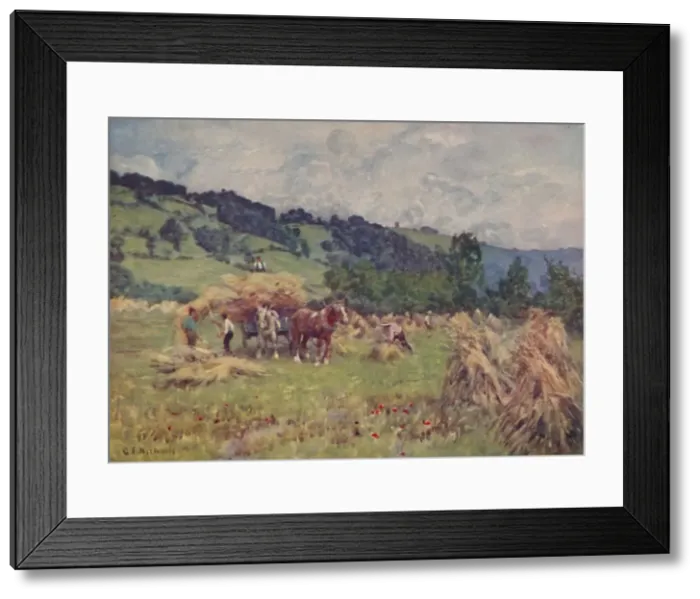 Framed Print : A Cornfield, 1910. Artist: George F Nicholls Framed Print : A Cornfield, 1910. Artist: George F Nicholls