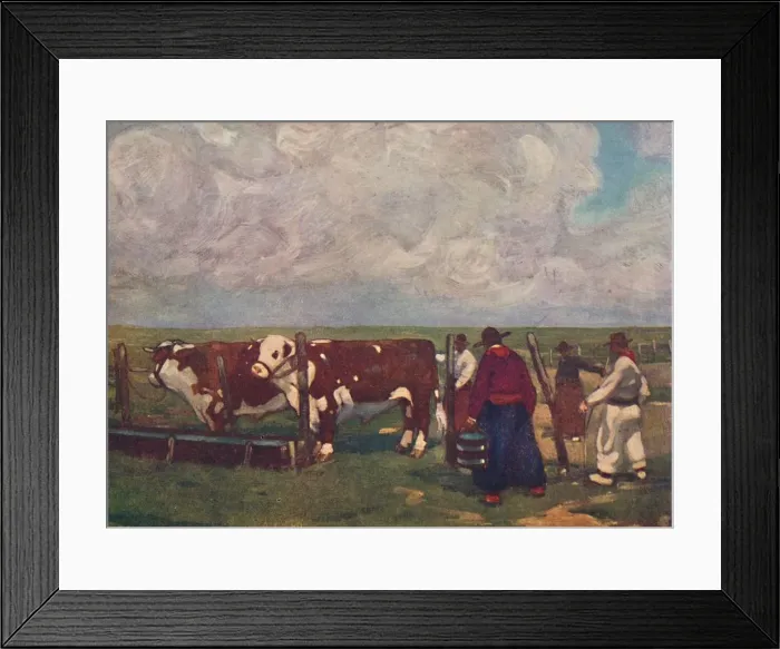 Framed Print : Pedigree Oxen on a a Lemco Estancia, 1916. Artist: As Forrest Framed Print : Pedigree Oxen on a a Lemco Estancia, 1916. Artist: As Forrest