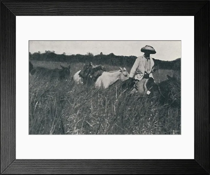 Framed Print : Travel on the Pampas, 1916 Framed Print : Travel on the Pampas, 1916