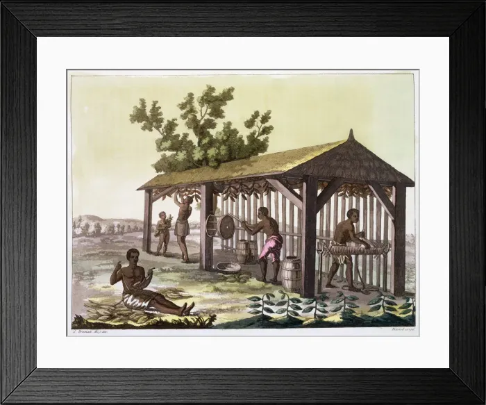 Framed Print : Slaves preparing tobacco, Virginia, USA. c1790 (c1820-1839). Artist: Angelo Biasioli Framed Print : Slaves preparing tobacco, Virginia, USA. c1790 (c1820-1839). Artist: Angelo Biasioli