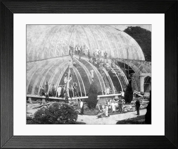 Framed Print : Making repairs to the Great Conservatory at Chatsworth, Derbyshire, late 19th century Framed Print : Making repairs to the Great Conservatory at Chatsworth, Derbyshire, late 19th century